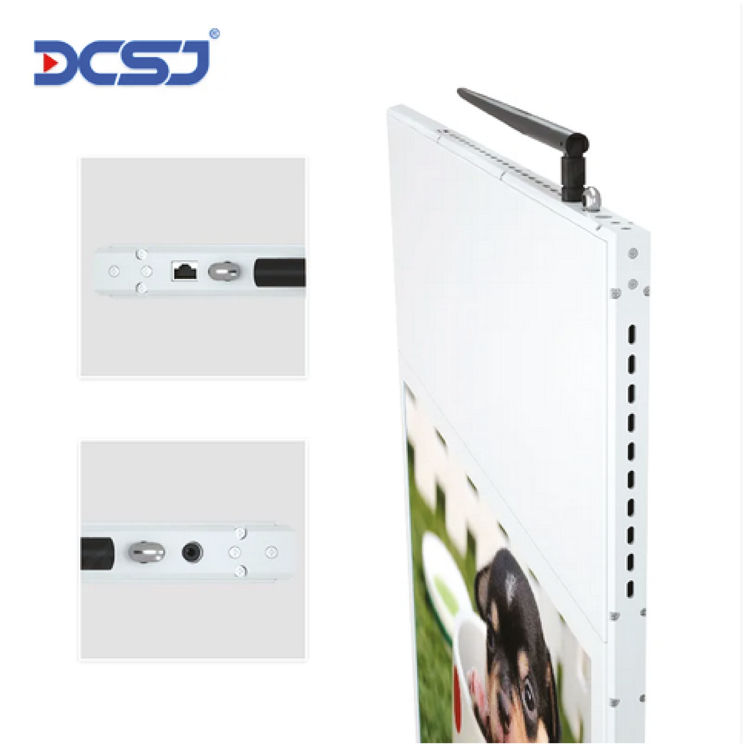 DuoSign Werbedisplay 43”